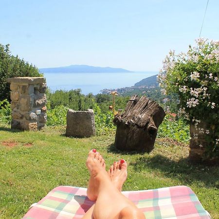Sea View Apartment With Garden Near Opatija Veprinac المظهر الخارجي الصورة