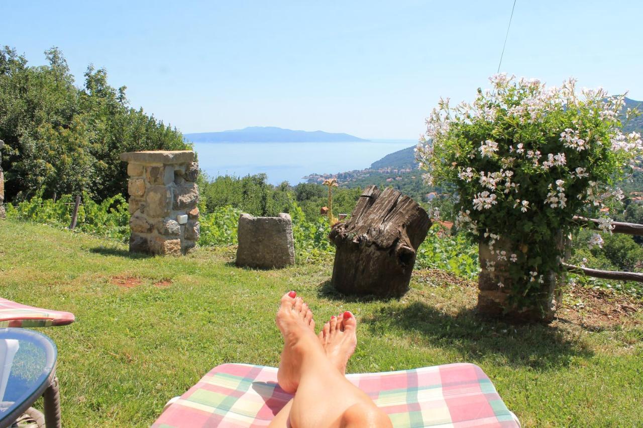Sea View Apartment With Garden Near Opatija Veprinac المظهر الخارجي الصورة